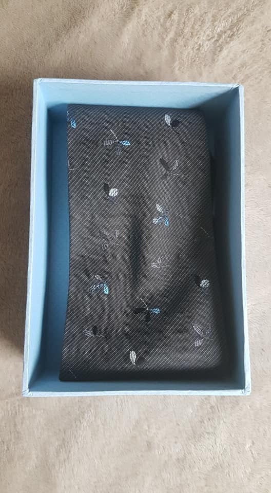 Classic Italian style neck tie elegant man accessories with gift box